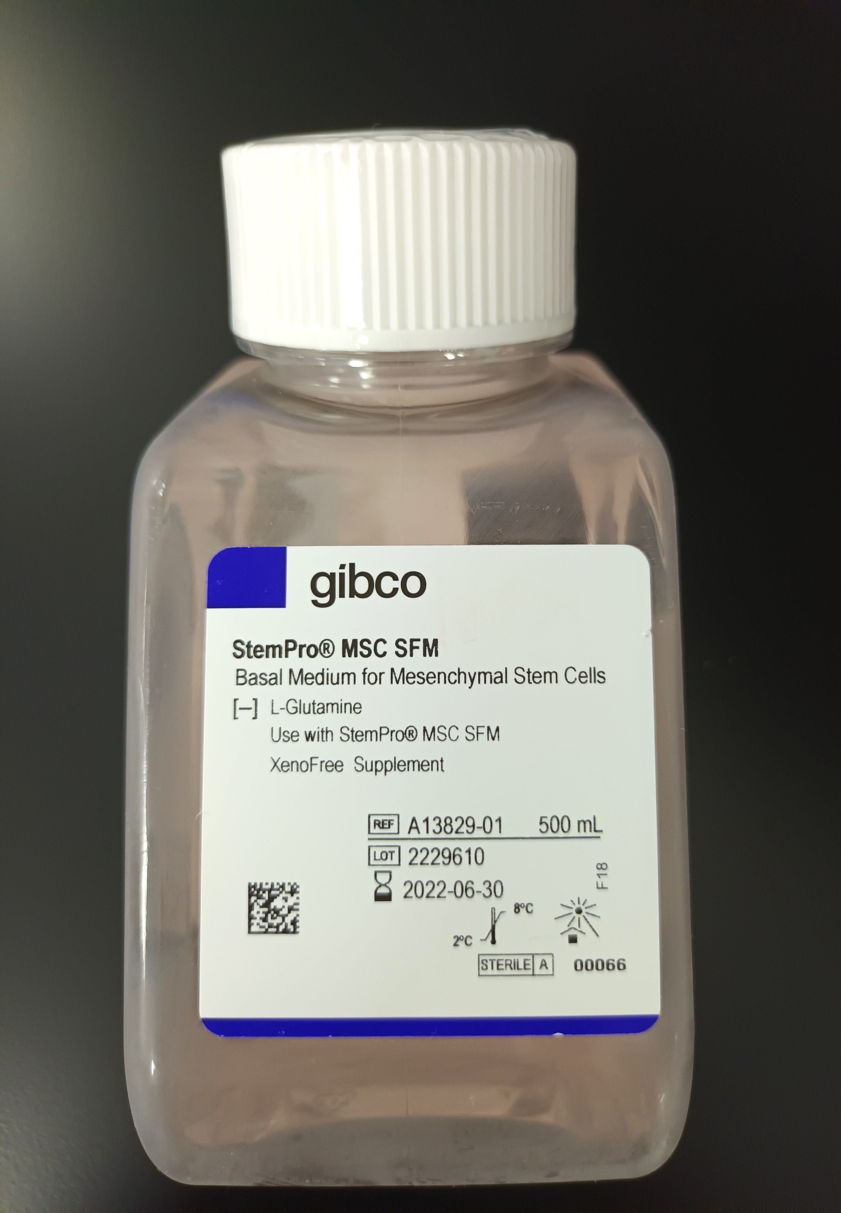 Gibco StemPro MSC Basal Medium